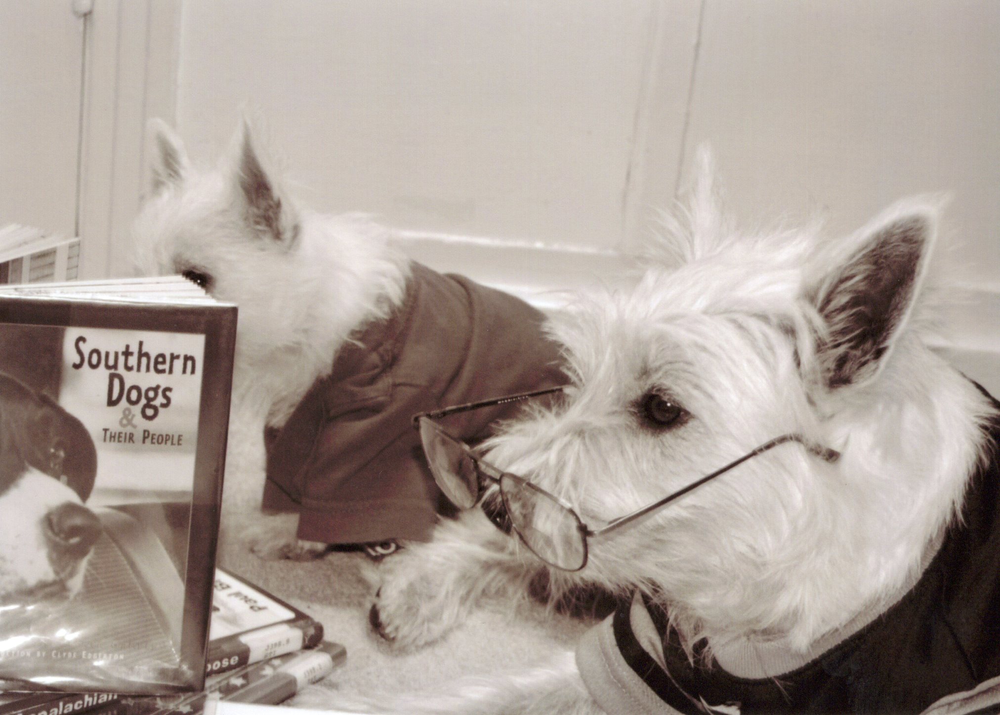 Two Westies with a book titled Southern Dogs & Their People